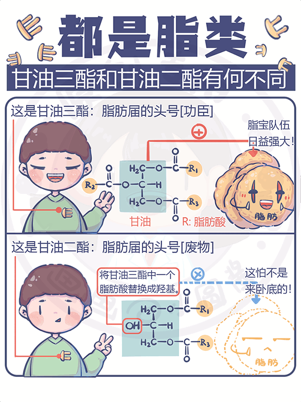 都是脂類甘油三酯和甘油二酯有何不同？